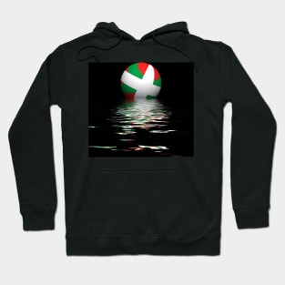 Basque flag setting / rising Hoodie